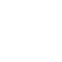icono camion blanco